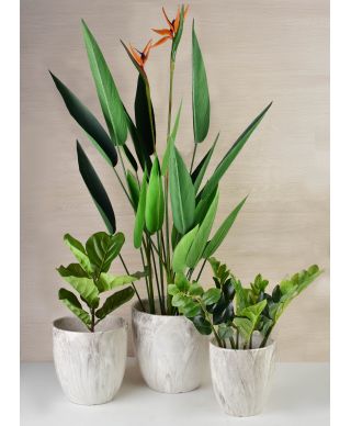 VIRIDIS Sztuczny kwiat sterlicja królewska 15x14x135cm