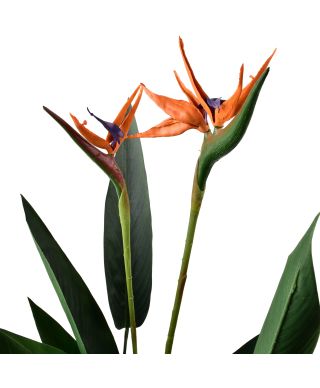 VIRIDIS Sztuczny kwiat sterlicja królewska 15x14x135cm