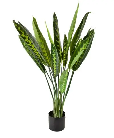 VIRIDIS Sztuczny kwiat kalatea 15x14x109cm