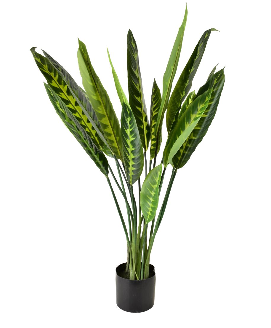 VIRIDIS Sztuczny kwiat kalatea 15x14x109cm