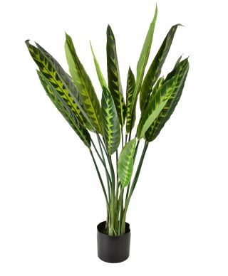 VIRIDIS Sztuczny kwiat kalatea 15x14x109cm