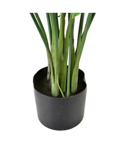 VIRIDIS Sztuczny kwiat kalatea 15x14x109cm