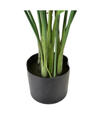 VIRIDIS Sztuczny kwiat kalatea 15x14x109cm