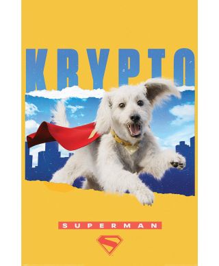 Superman Krypto - plakat