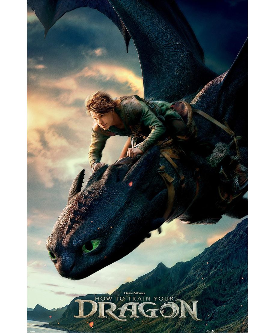 How To Train Your Dragon Toothless - plakat