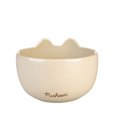 Pusheen - zestaw do ramen