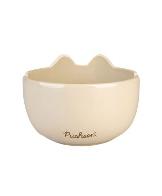 Pusheen - zestaw do ramen