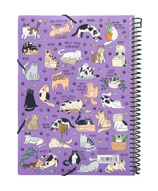 Meow Meow Love is in the Air - skoroszyt A4