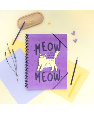Meow Meow Love is in the Air - skoroszyt A4