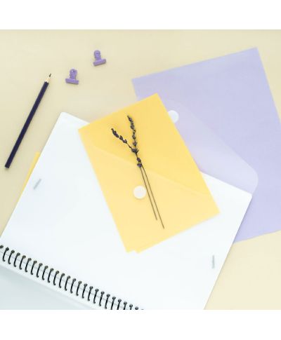 Meow Meow Love is in the Air - skoroszyt A4