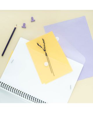 Meow Meow Love is in the Air - skoroszyt A4