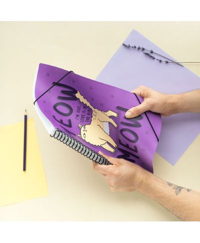 Meow Meow Love is in the Air - skoroszyt A4