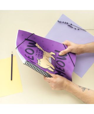 Meow Meow Love is in the Air - skoroszyt A4