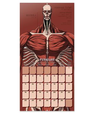 Attack On Titan - kalendarz ścienny 2026