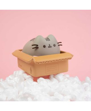 Pusheen - skarbonka