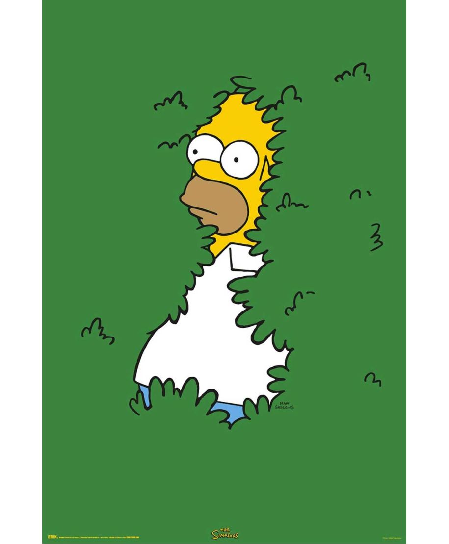 The Simpsons Homer Bush - plakat