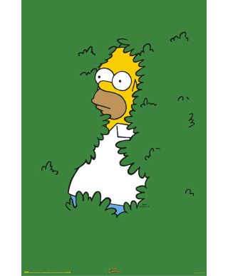 The Simpsons Homer Bush - plakat