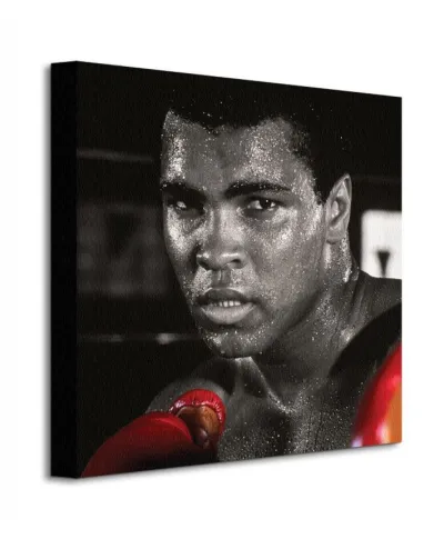 Muhammad Ali (Boxing Gloves) - Obraz na płótnie