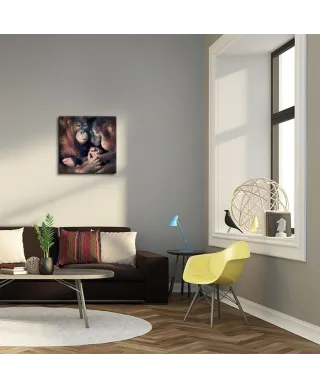 Obraz ścienny - Orangutan Family - 40x40 cm