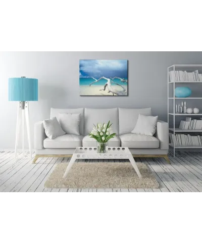 Driftwood, Antigua - Obraz na płótnie