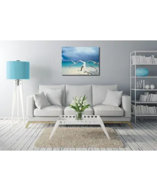 Driftwood, Antigua - Obraz na płótnie