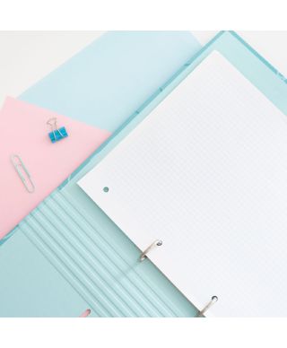 Disney Stitch Waves - segregator A4