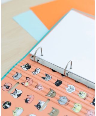 Meow Meow - segregator A4