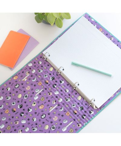 Meow Meow Weird Cats - segregator A4