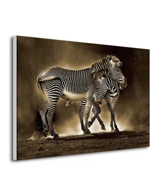 Obraz ścienny - Zebra Grevys - 80x60 cm