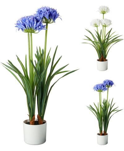 ROŚLINA W DONICZCE 50X80CM 2 SZT