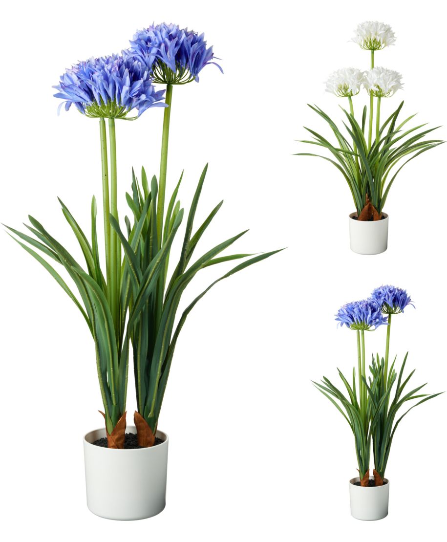 ROŚLINA W DONICZCE 50X80CM 2 SZT