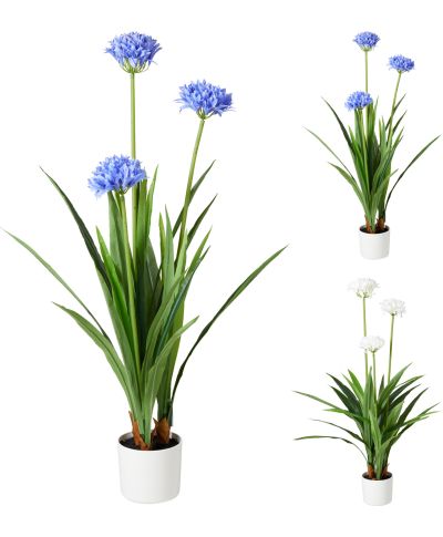 ROŚLINA W DONICZCE 70X120CM 2 SZT