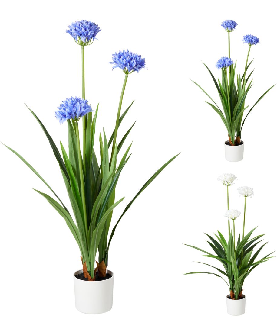 ROŚLINA W DONICZCE 70X120CM 2 SZT