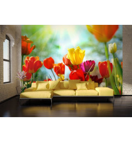 Fototapety na ścianę - Kwiaty i rośliny - Dekoracje domu - Sklep